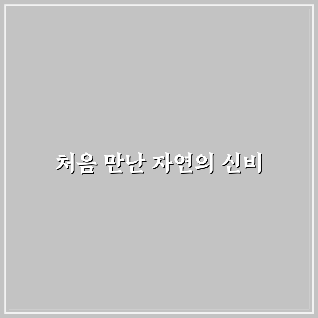 알프스 프로폴리스 캔디 사용 후기, 효과는 어땠나 봤어요