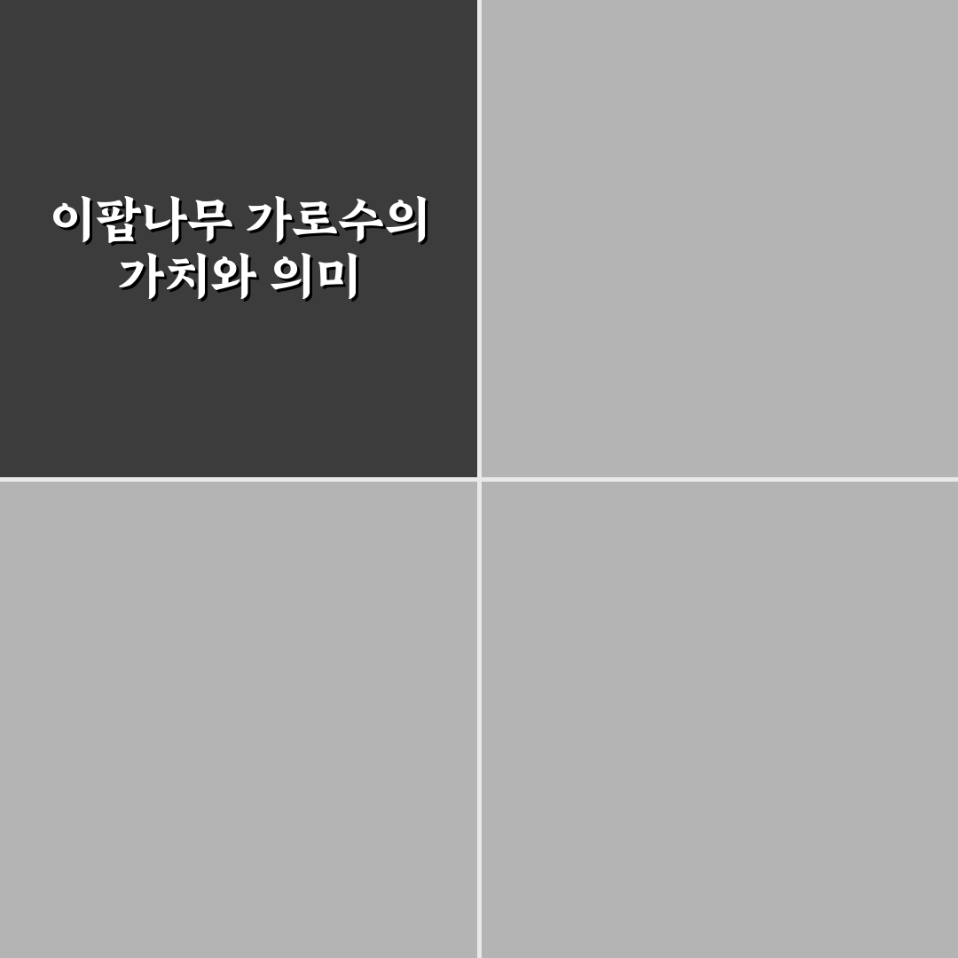 이팝나무 가로수 선택 기준과 관리 방법 총정리