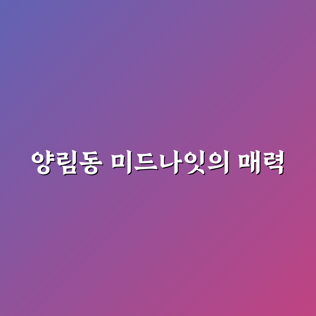 양림동 미드나잇 익스프레스 이용 가이드와 비교 분석