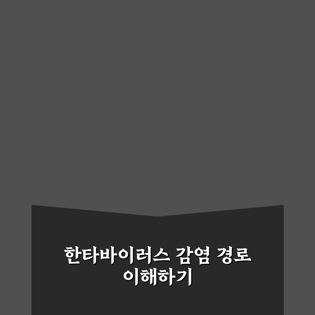 한타바이러스 감염 경로별 위험도 비교 및 예방 체크포인트