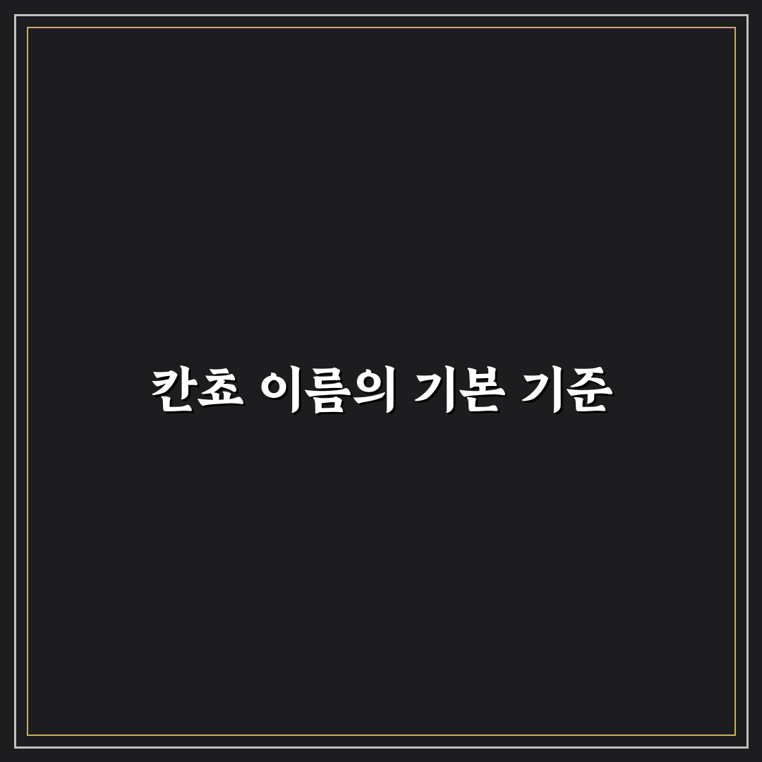 칸쵸 이름 목록 비교와 선택 가이드 5가지 기준