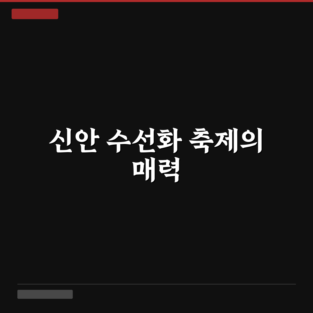 신안 선도 수선화 축제 5가지 핵심 비교와 참가 가이드