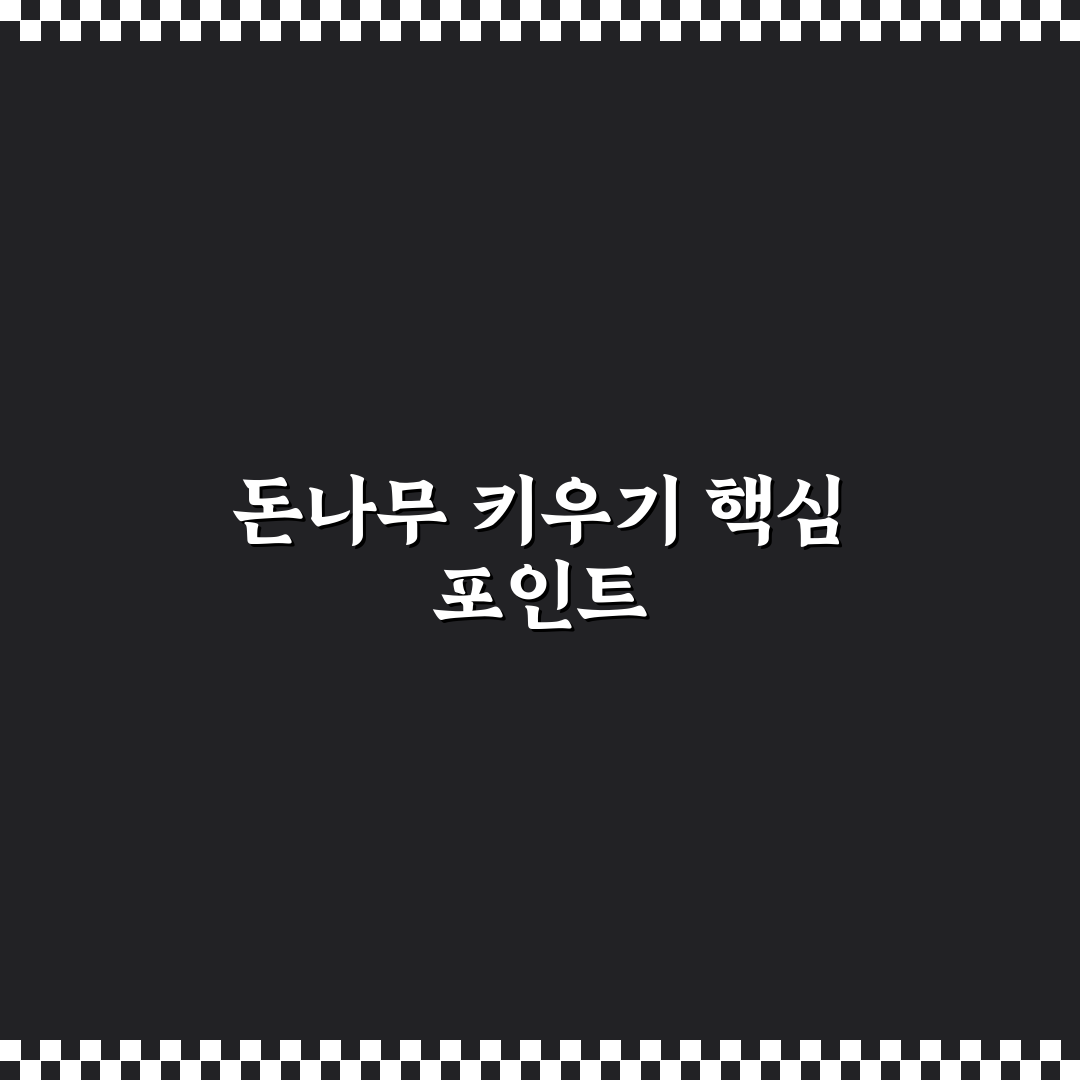 케이뱅크 돈나무 키우기 5가지 기준별 분석과 판단 가이드