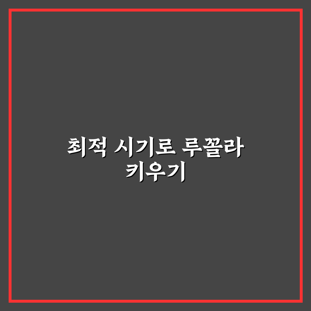 루꼴라 심는시기와 재배환경 5가지 기준 분석