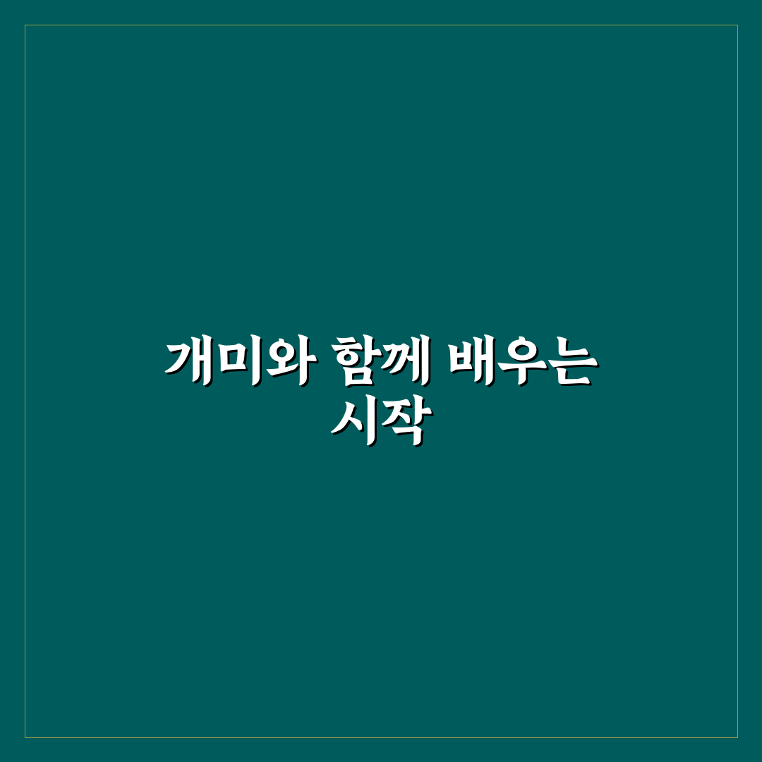 개미 관찰 키트 선택 가이드와 주요 비교 포인트 분석