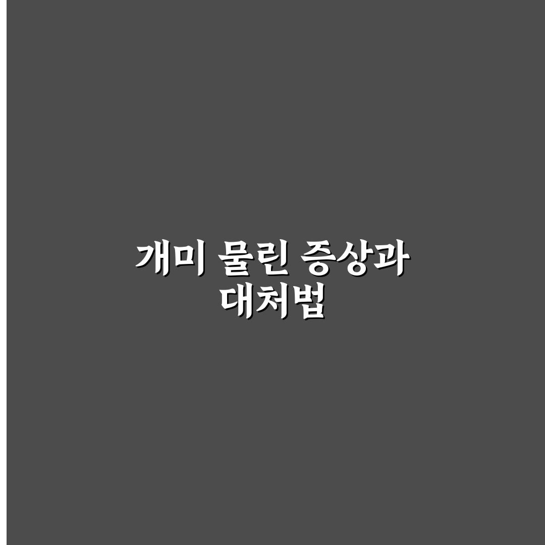 개미 물린자국 증상과 치료법 5가지 기준 분석