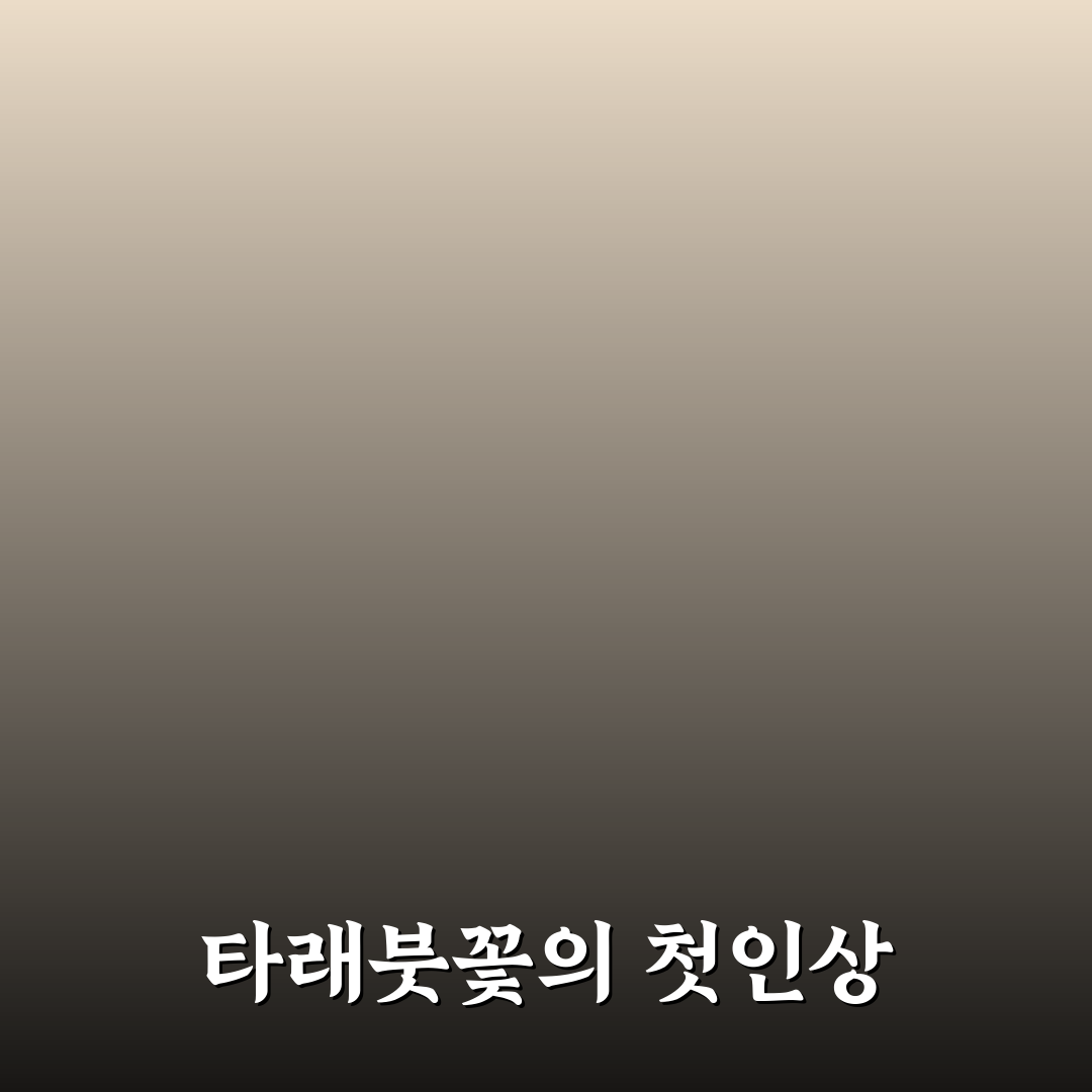 타래붓꽃 방문 후기, 직접 가보니 알게 된 점들