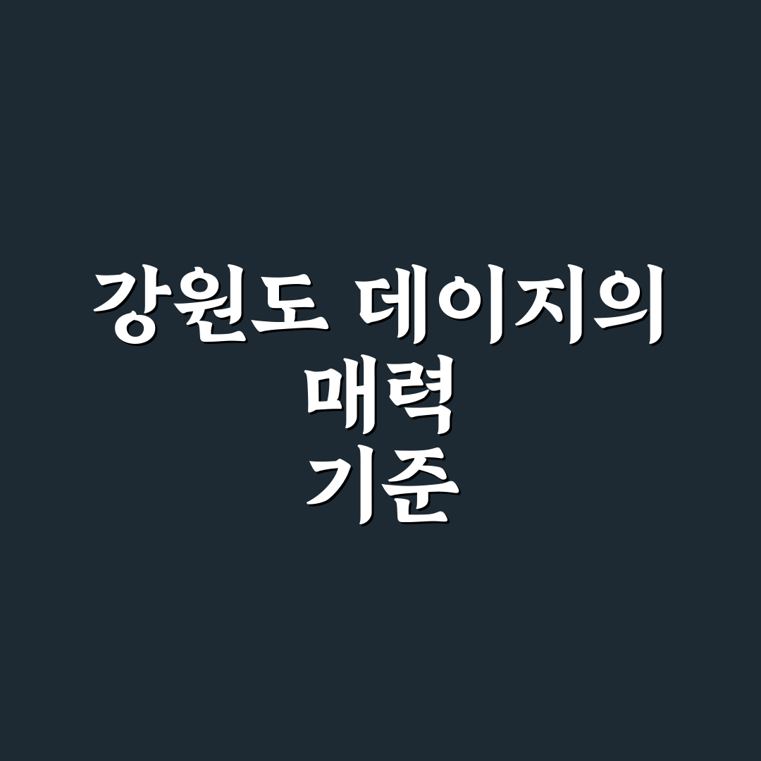 강원도 데이지 꽃밭 방문 전 확인해야 할 5가지 기준