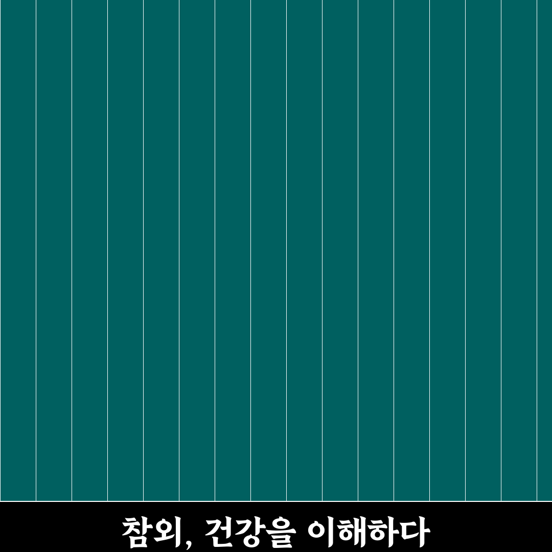 참외 효능과 부작용 5가지 기준별 분석 가이드