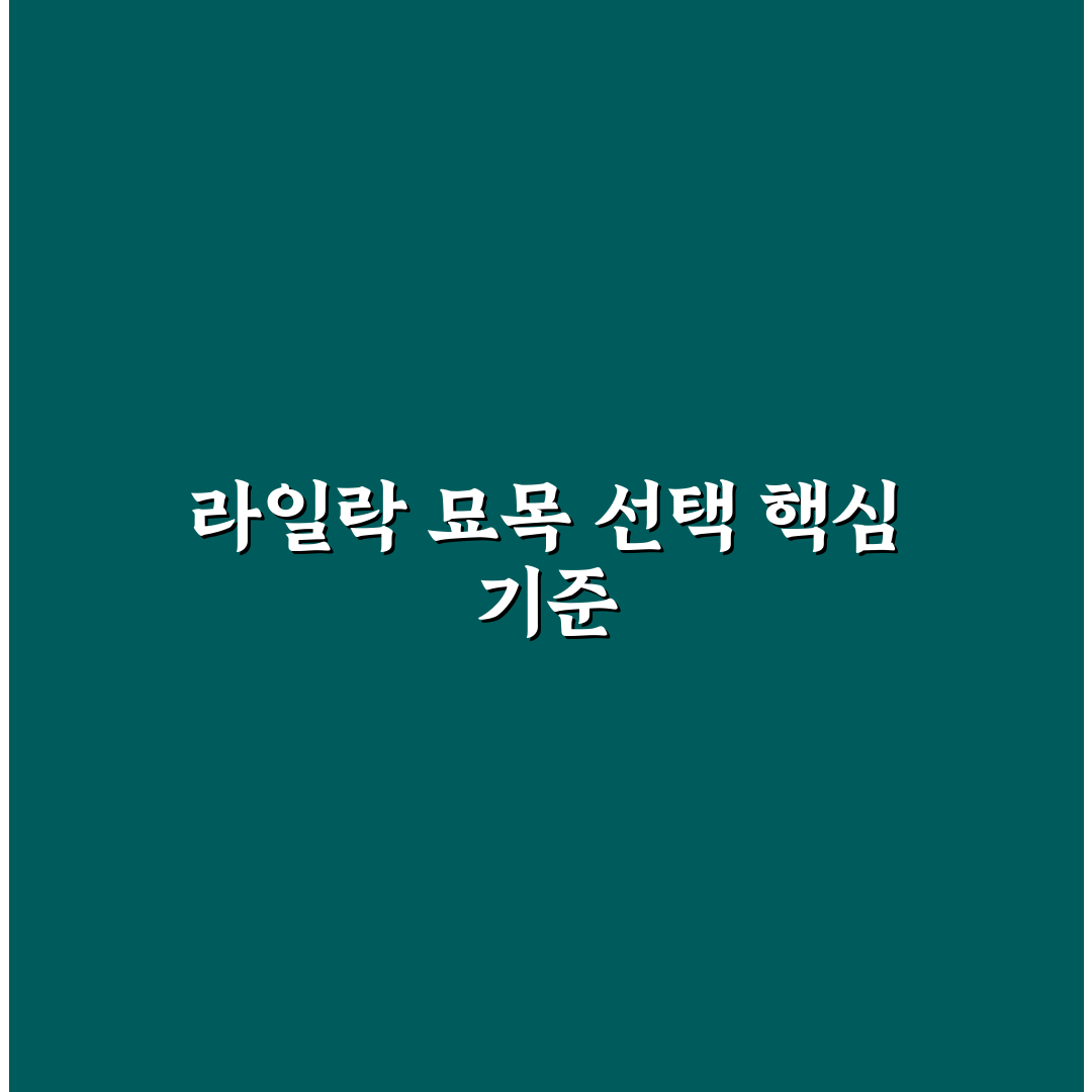라일락 묘목 선택을 위한 5가지 비교 기준 총정리