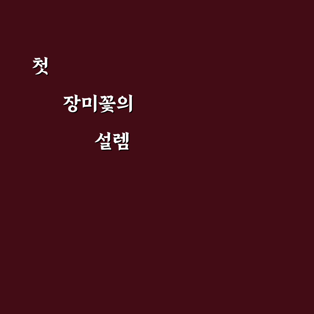 장미꽃 한송이 가사 직접 따라 불러보니 느낌은