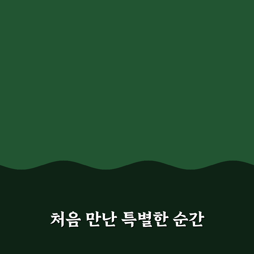 석관동 엘마트 방문 후기, 직접 가보니 알게 된 점들