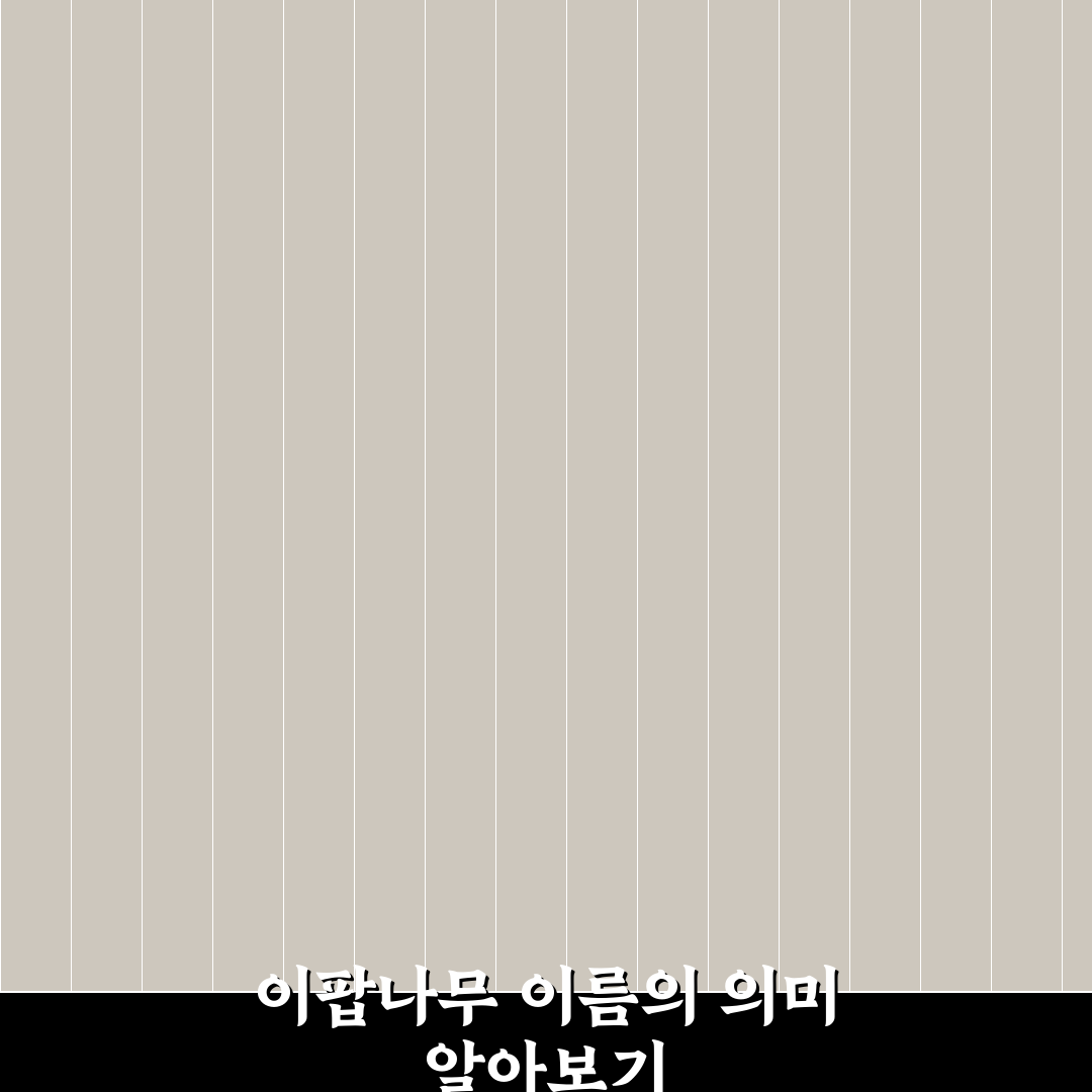 이팝나무 이름 유래와 특징 비교로 보는 총정리 가이드