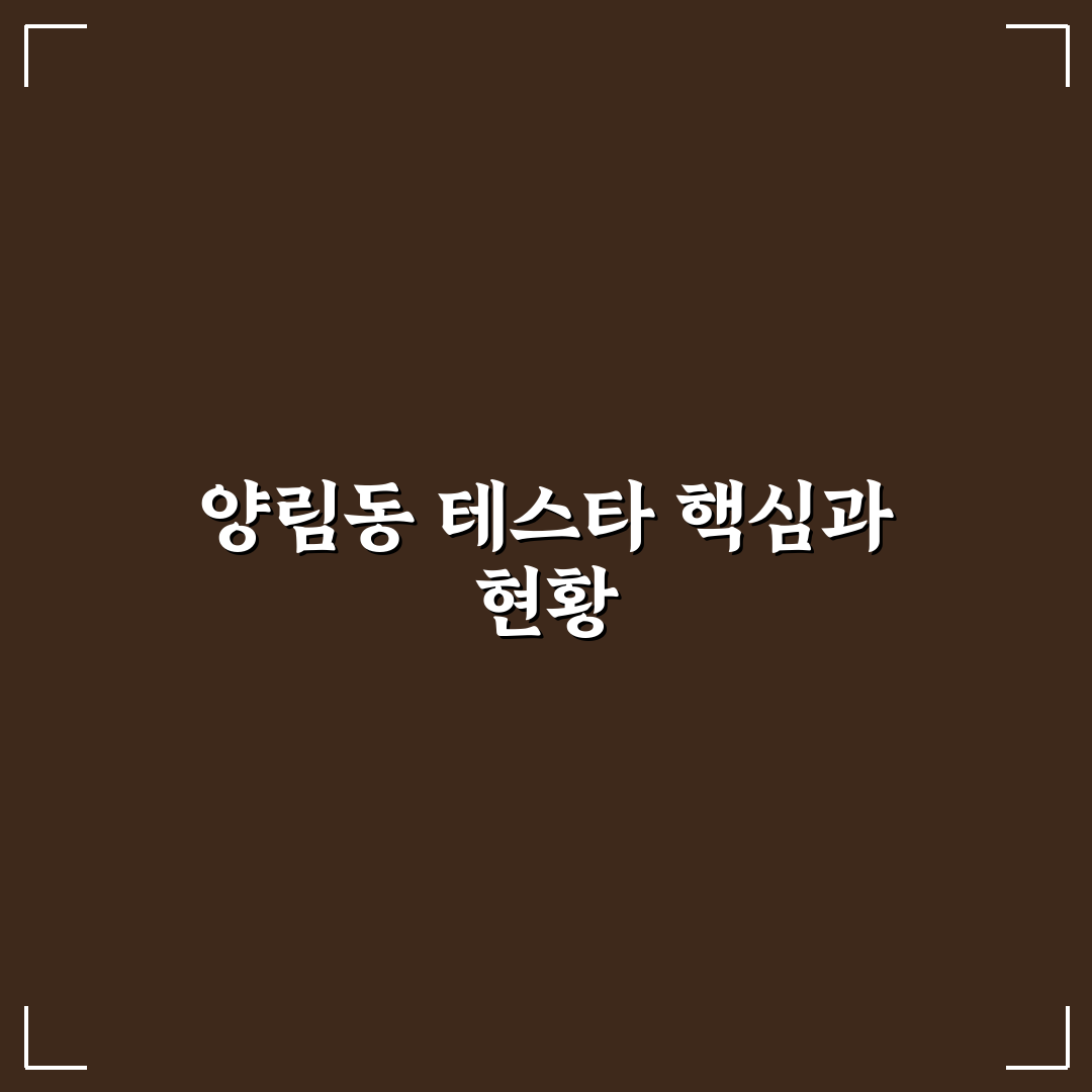 양림동 테스타 비교와 체크포인트 총정리 가이드