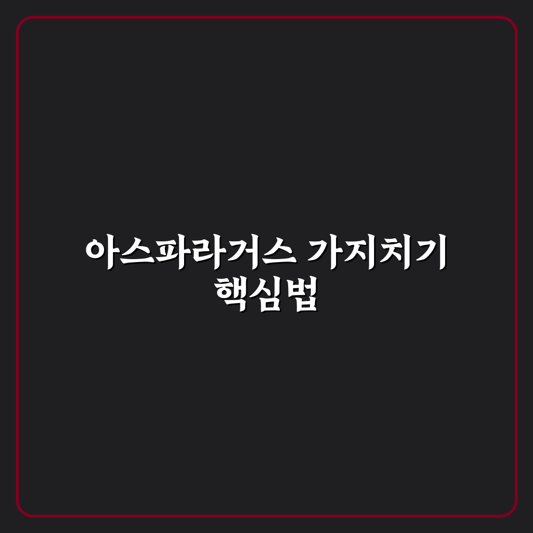 아스파라거스 나누스 가지치기 기준과 효과 비교 분석