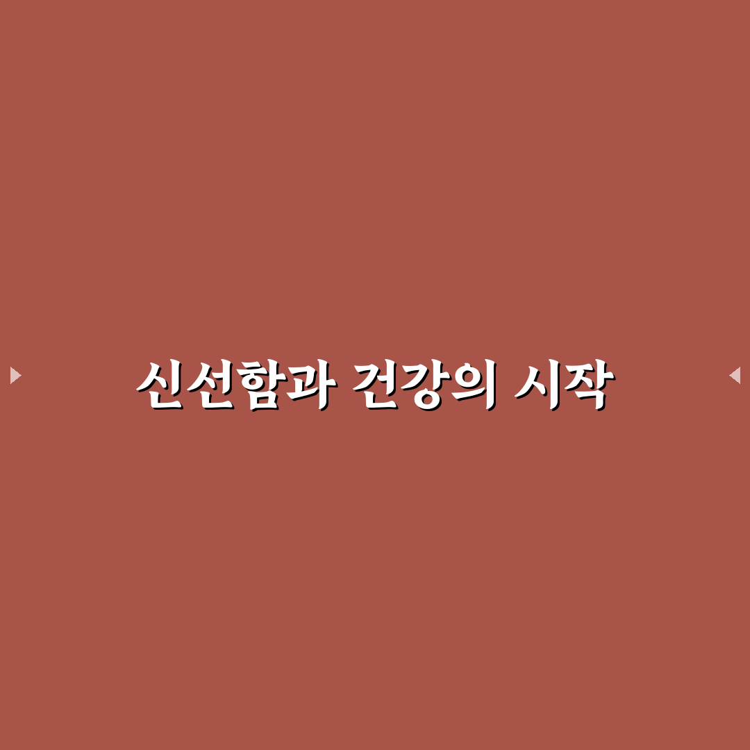 닥터라이블리 연두 레시피 5가지 핵심 비교와 선택 기준