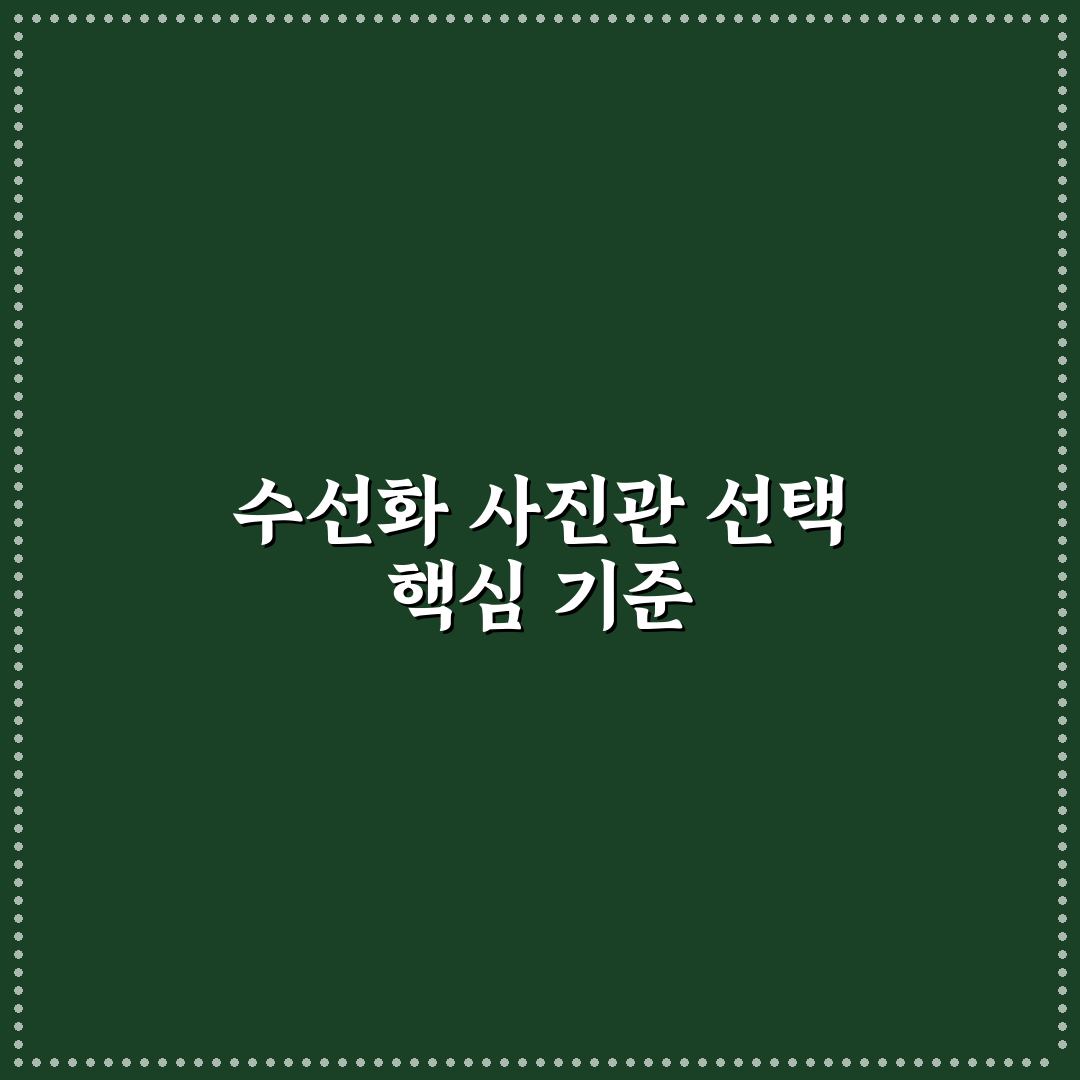 수선화 사진관 선택 기준과 5가지 체크포인트 분석