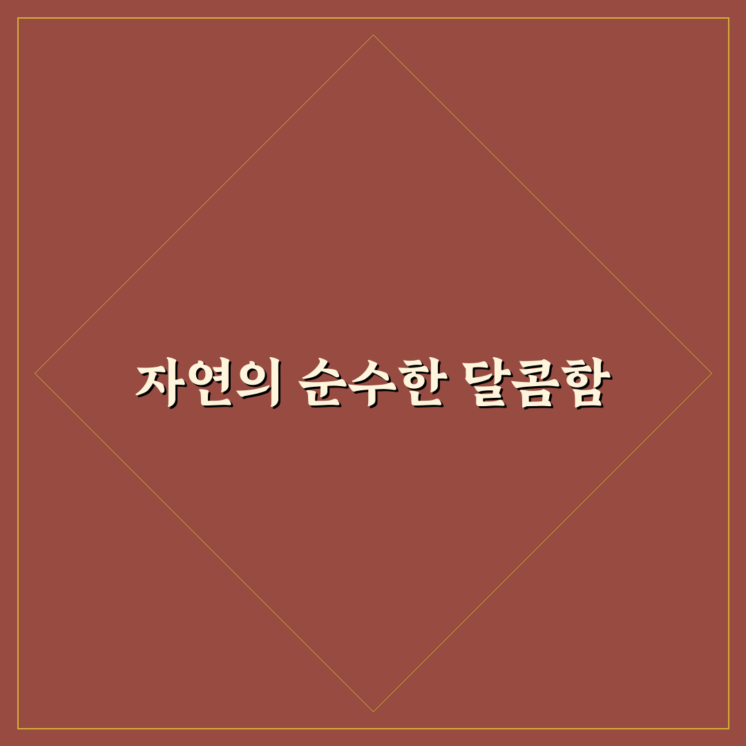 때죽나무 꿀 효능과 부작용 직접 알아보니 궁금증 해소