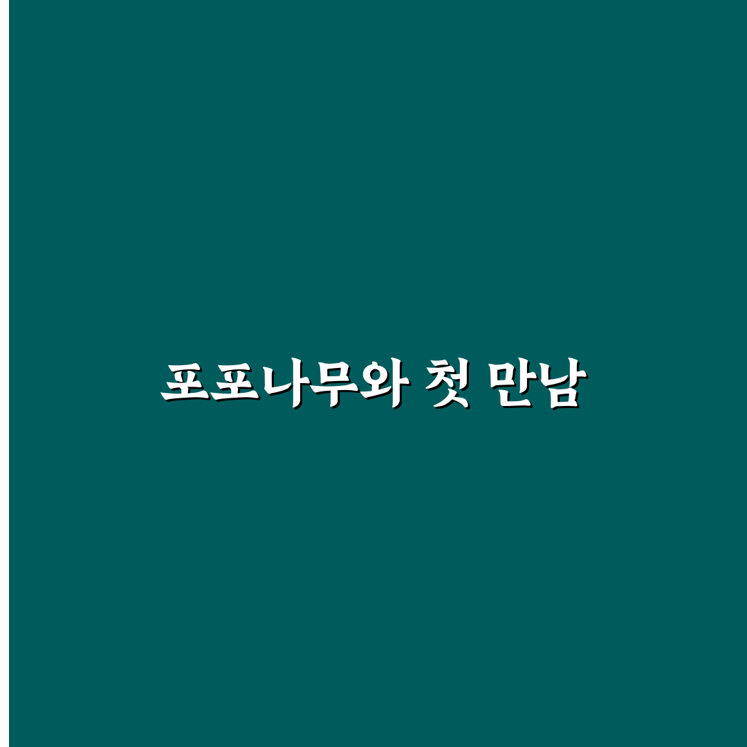 포포나무 수정방법 후기, 직접 해보니 달라진 점