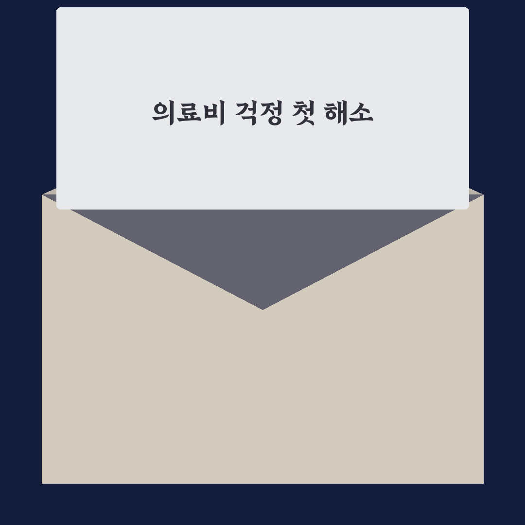 본인부담상한제 실비 직접 알아보니 신청 과정은 복잡했어요