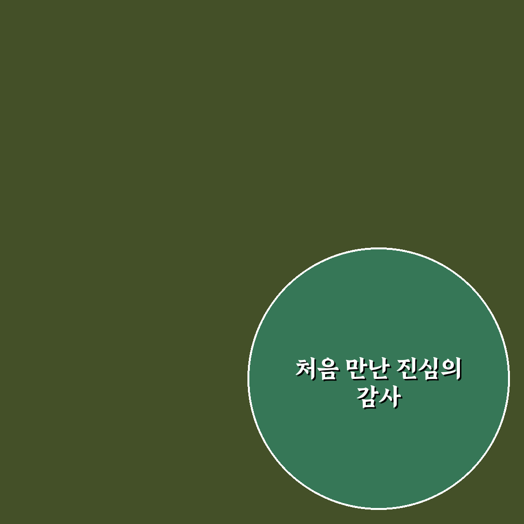 어버이날 카네이션 직접 만들어보니 느낀 점