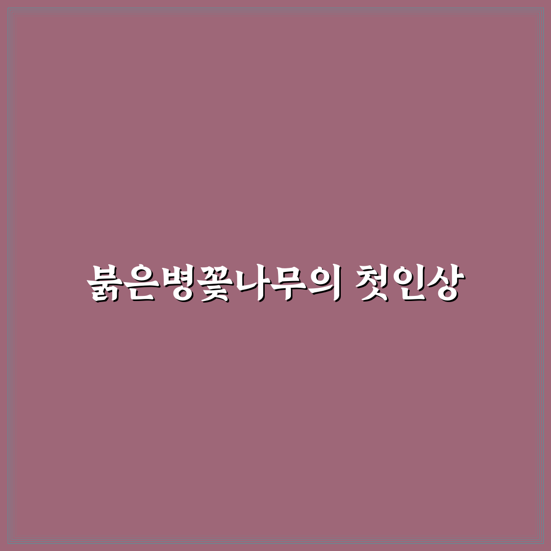 붉은병꽃나무 꽃말 직접 알아보니 뜻이 궁금했어요