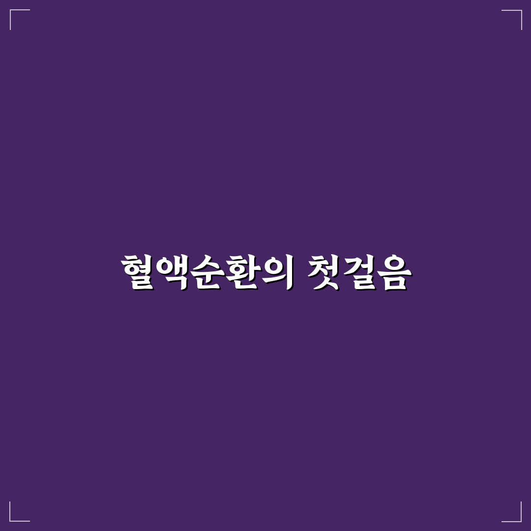 지압혈액순환방석 사용 후기, 직접 써보니 달라진 점