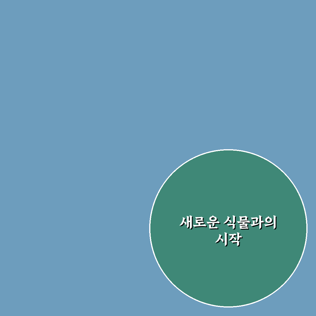 미스김라일락 물주는 법, 직접 해보니 달라진 점