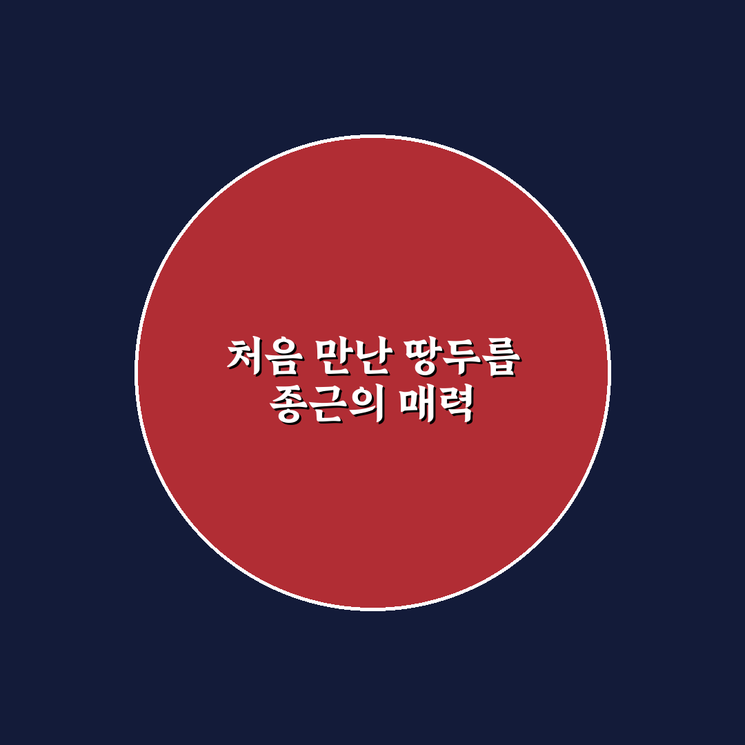 땅두릅 종근 구매 사용 후, 재배 초보기도 솔직 후기