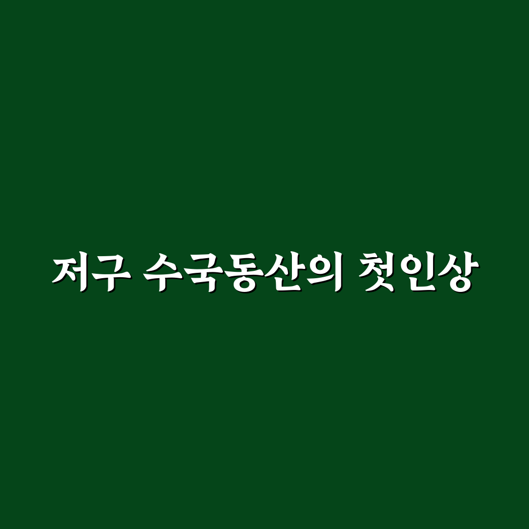 저구 수국동산 방문 후기, 직접 가보니 풍경과 분위기