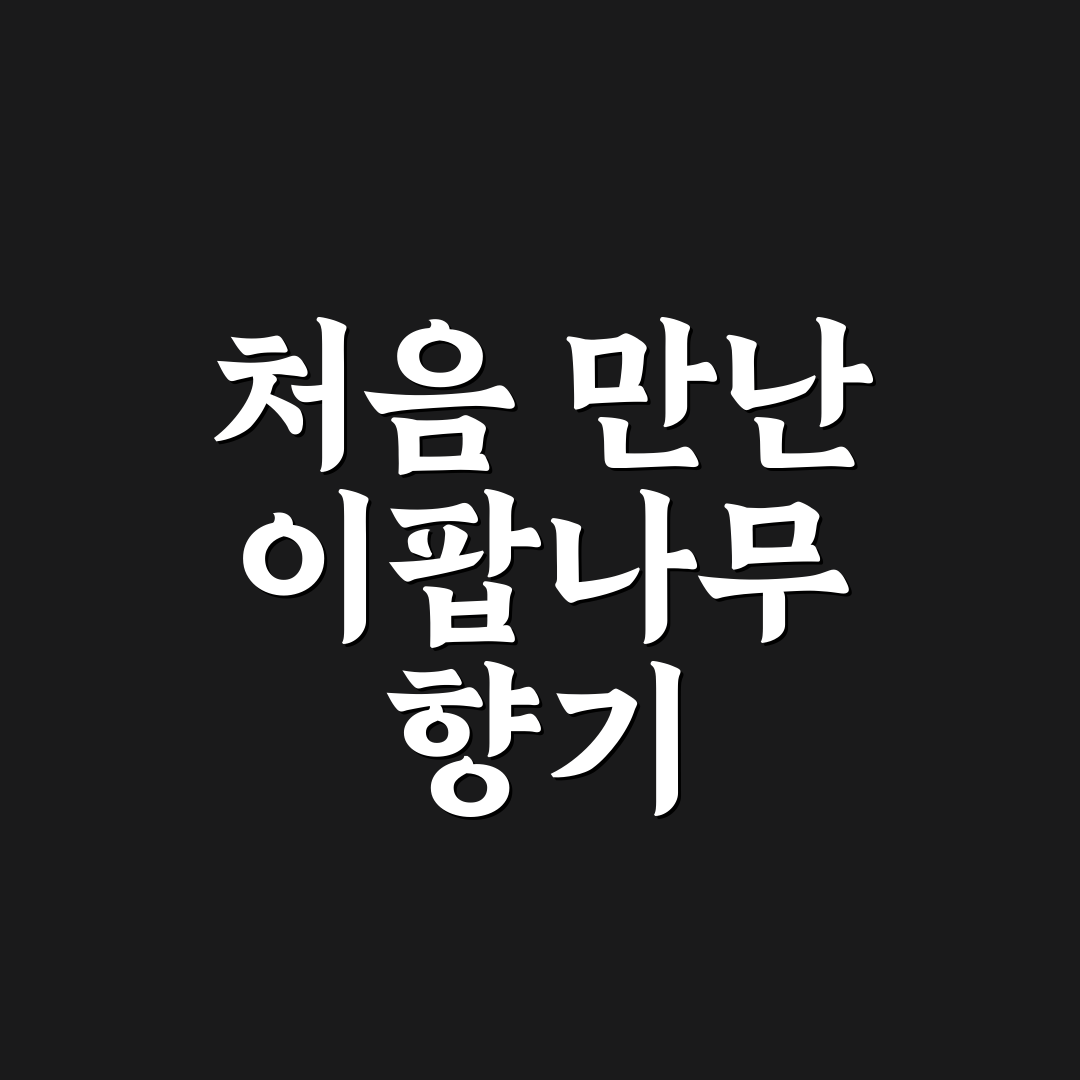 이팝나무 명소 경기도 방문 후기, 직접 가보니 풍경은 어땠을까