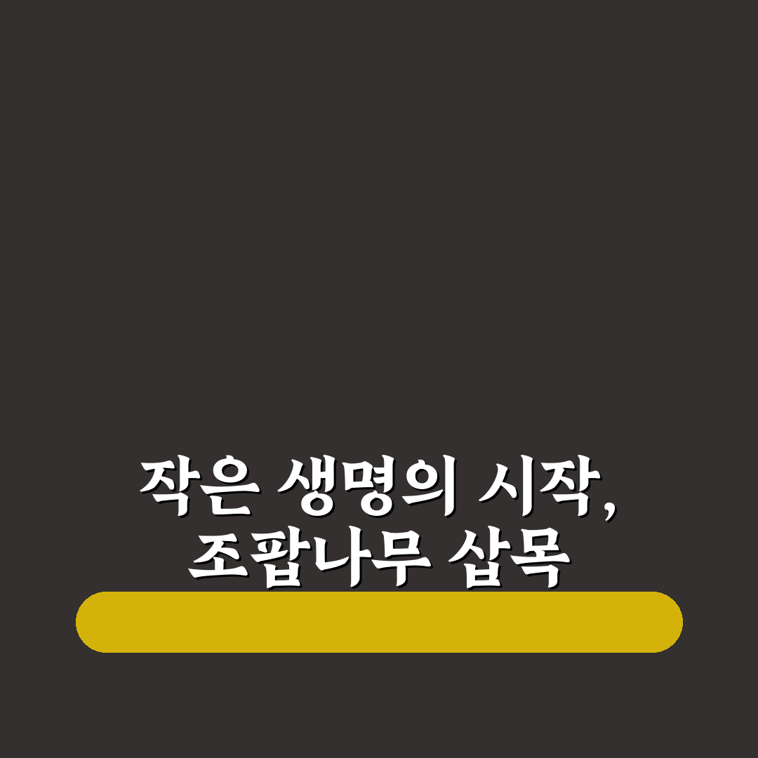조팝나무 삽목 후기, 직접 해보니 생존율은 이렇네요