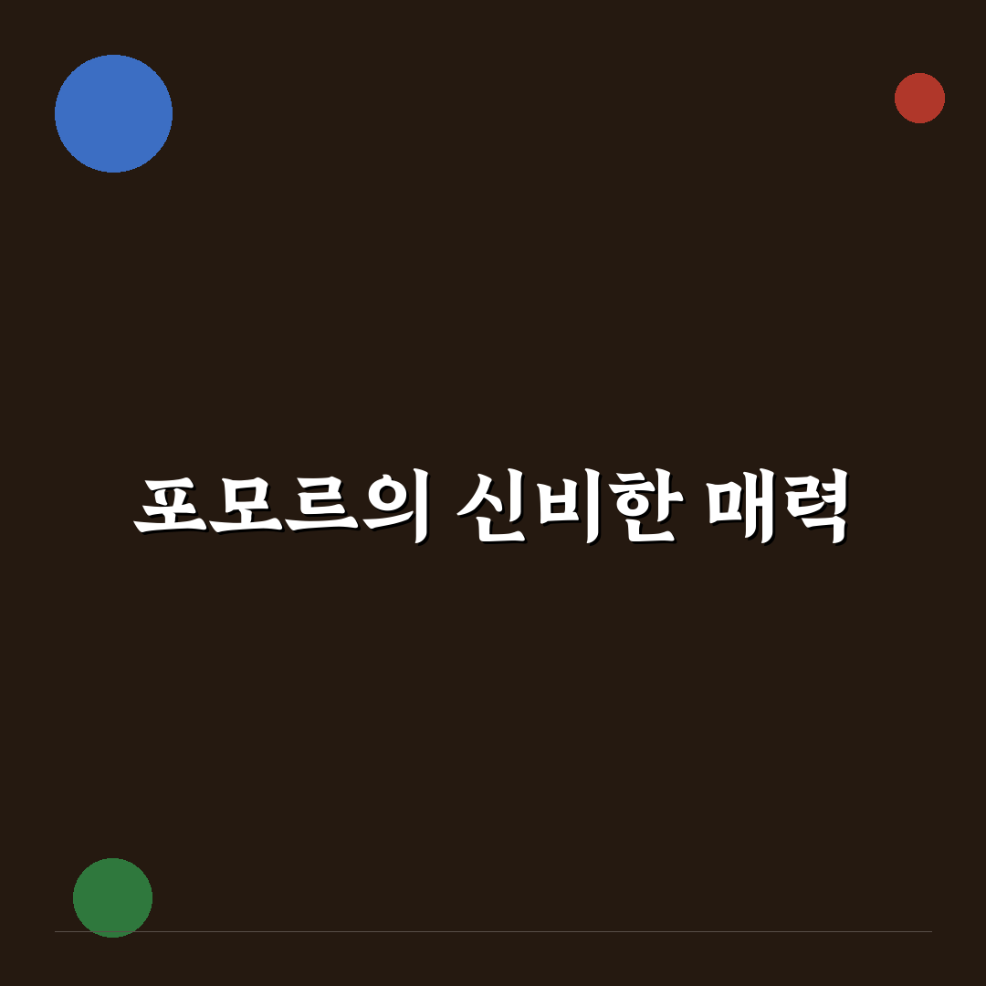 포모르 사용 후기, 직접 써보니 알게 된 점들