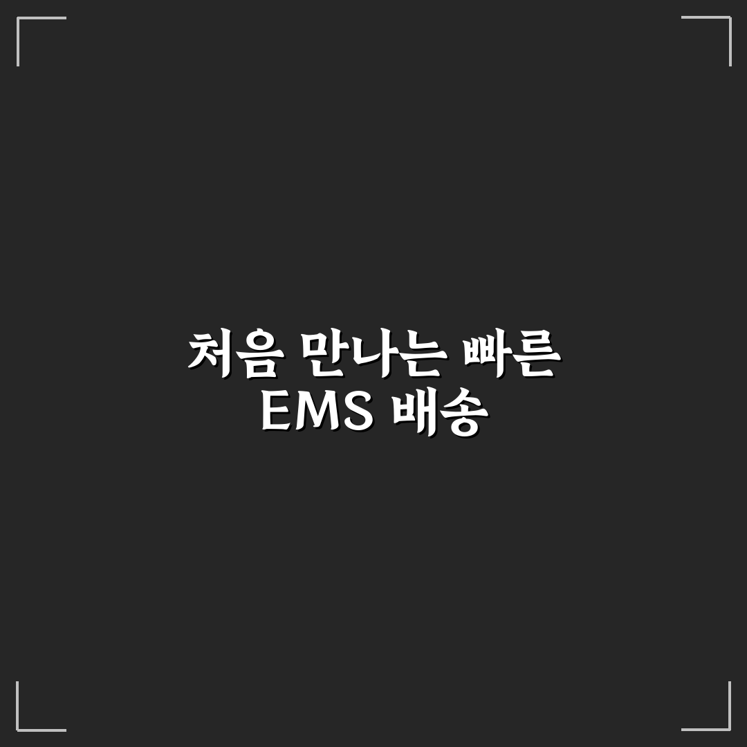 우체국 ems 배송조회 직접 이용해보니 편리한 점과 아쉬움