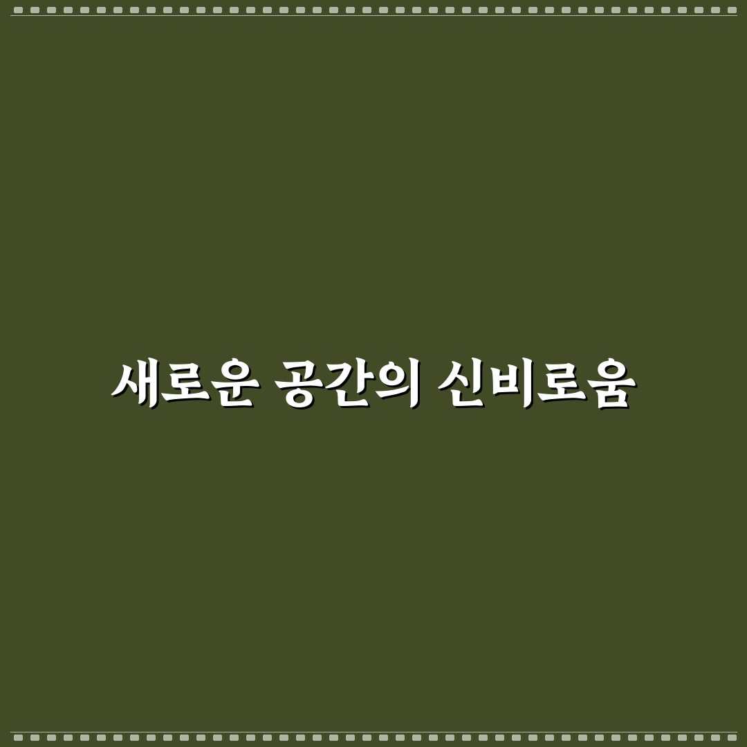 문정동 루이비스 방문 후기, 직접 가보니 알게 된 점