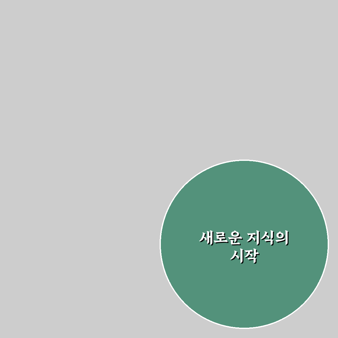 어버이날 나무위키 직접 알아보니 정보 정리하기 편했어요