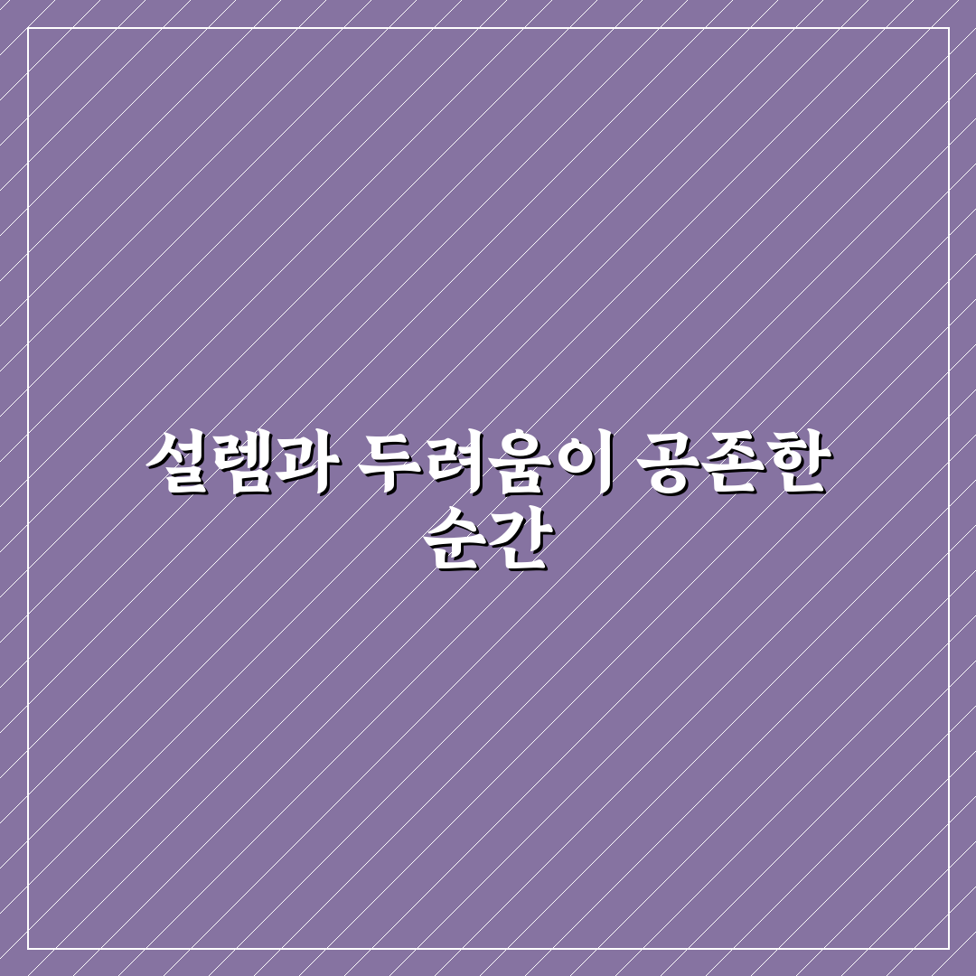 포모감 사용 후기, 직접 써보니 느낀 점들