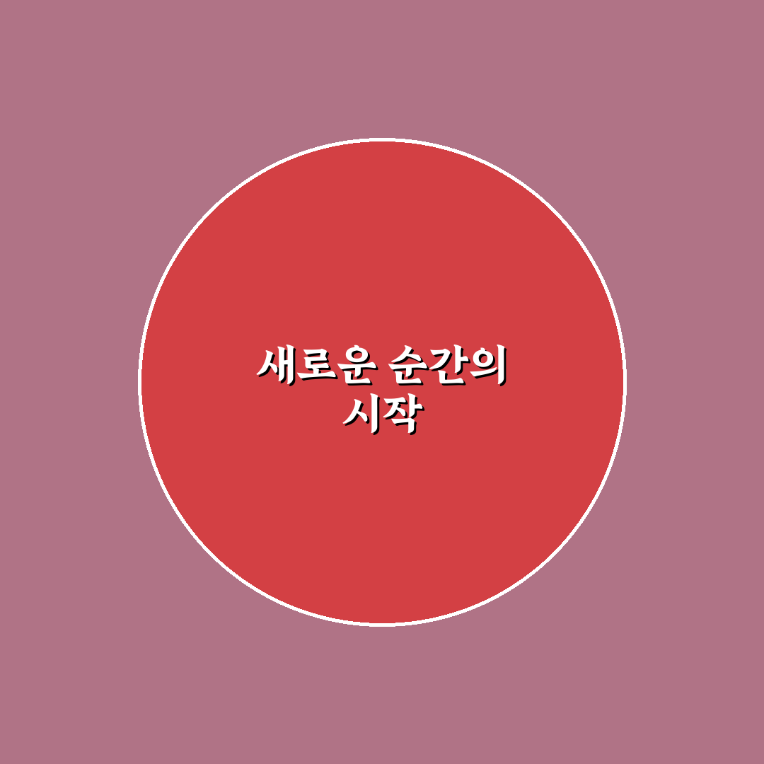 모란 칭하이 방문 후기, 분위기와 메뉴 솔직 체험기