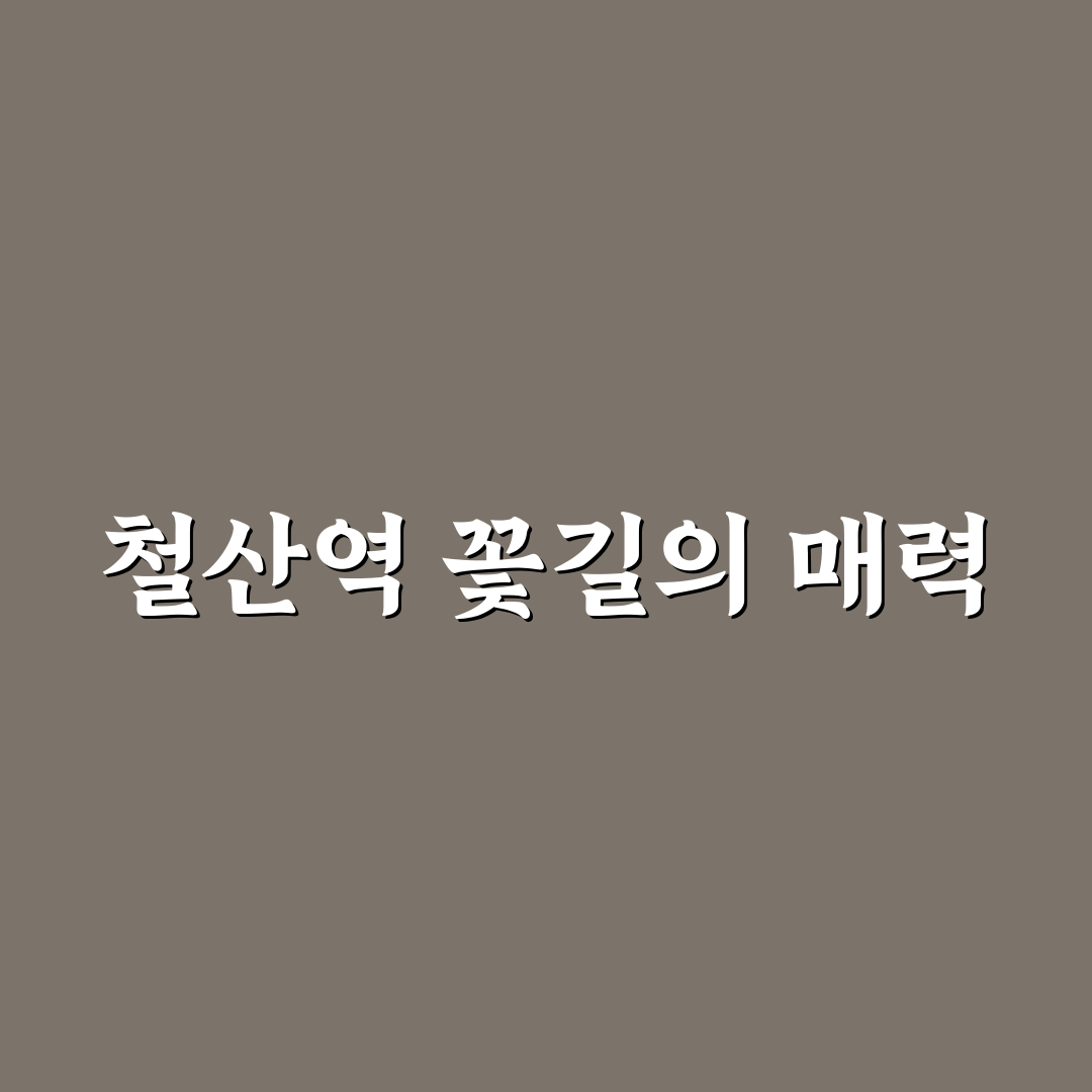 철산역 꽃집 방문 후기, 실제 꽃 상태와 서비스는?