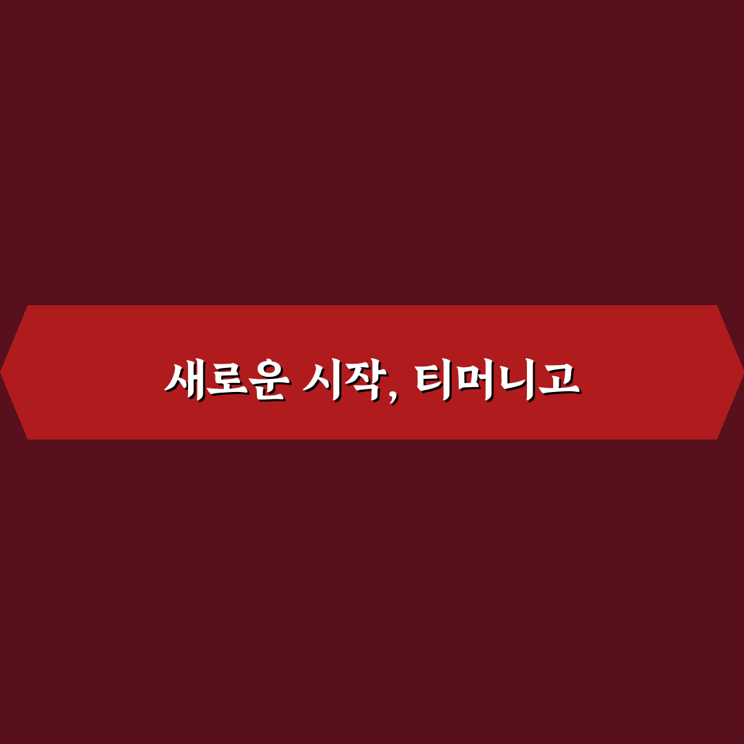 티머니고 공모전 신청 후기, 과정과 준비 과정 솔직히 알아보니