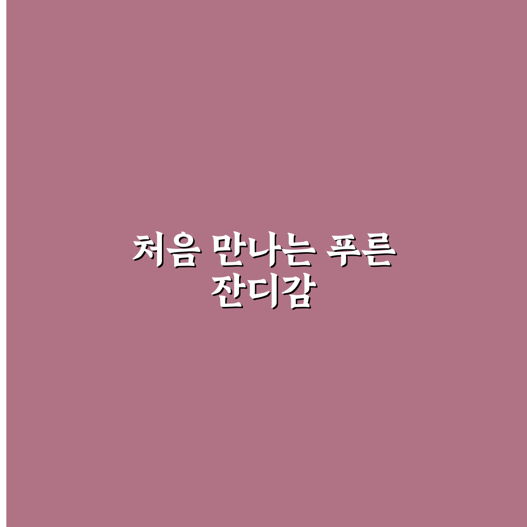 인조잔디 롤매트 사용 후기, 직접 써보니 느낌은 어떨까