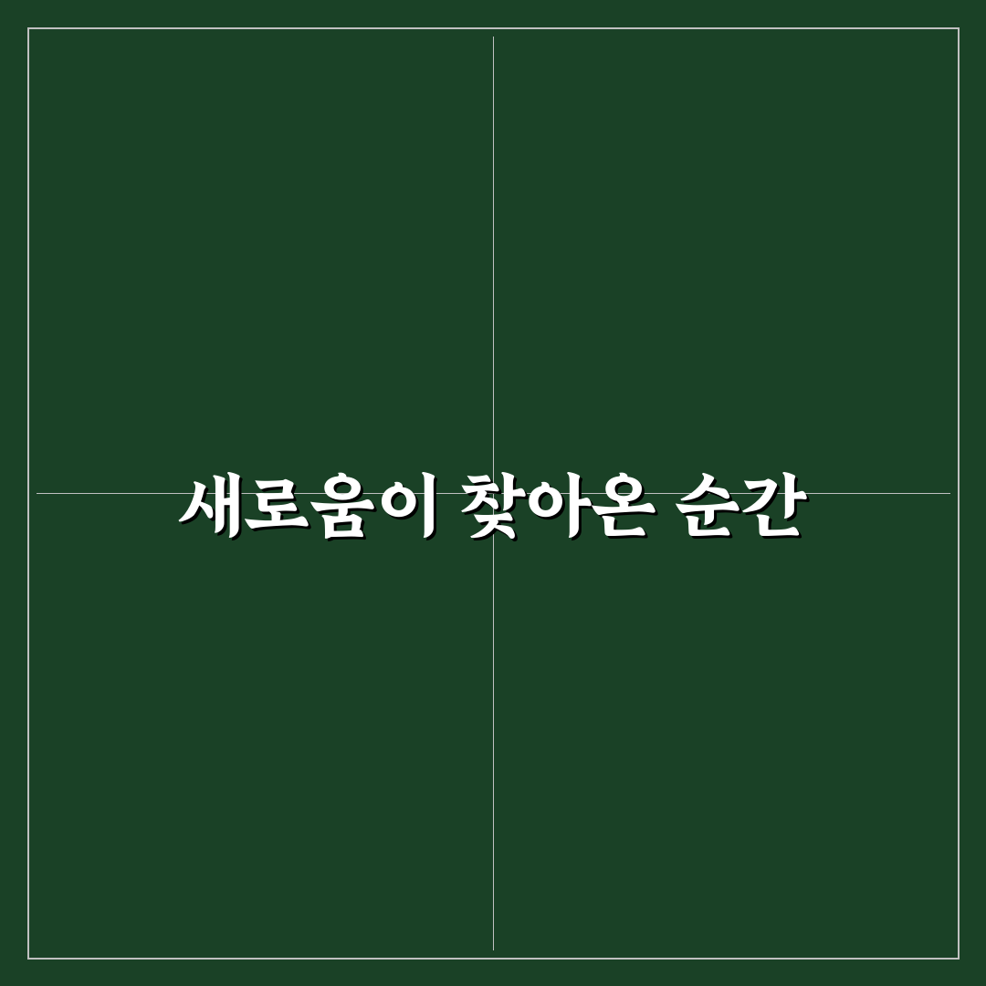유튜버 판슥 영상 후기, 직접 보니 어땠는지