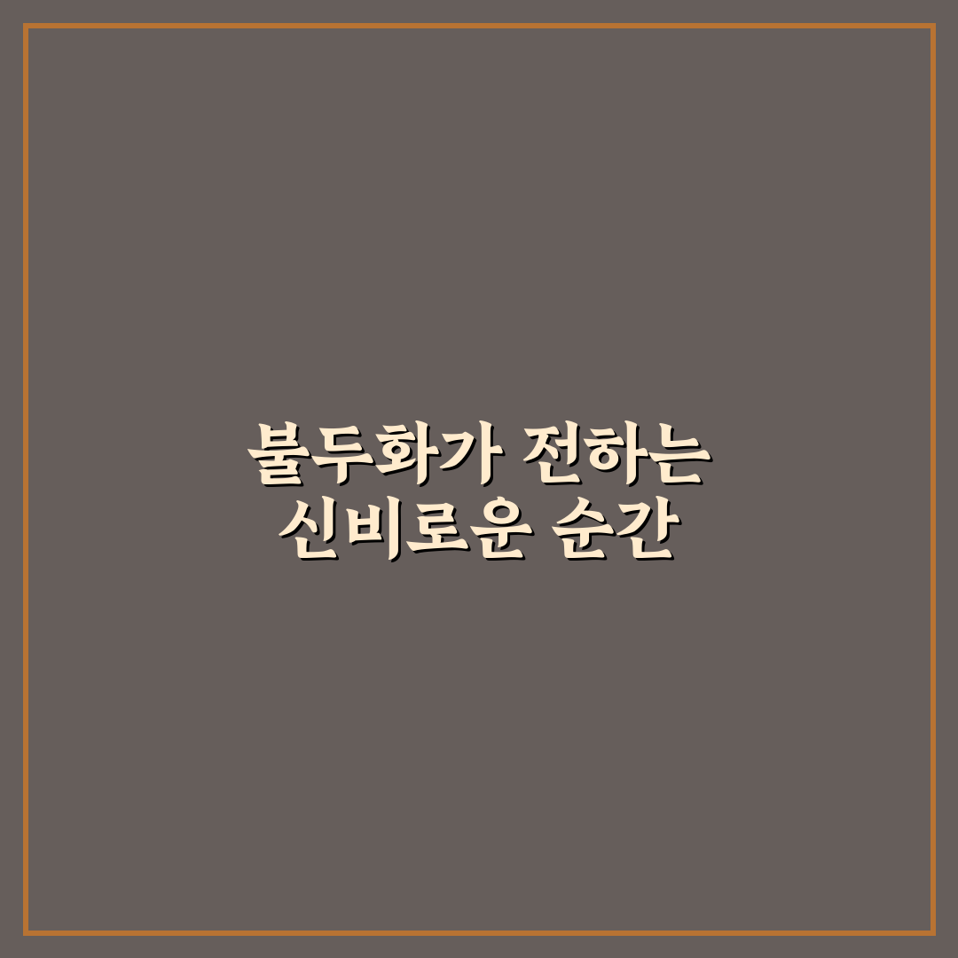 불두화 물꽂이 사용 후기, 직접 해보니 변화가 궁금했다