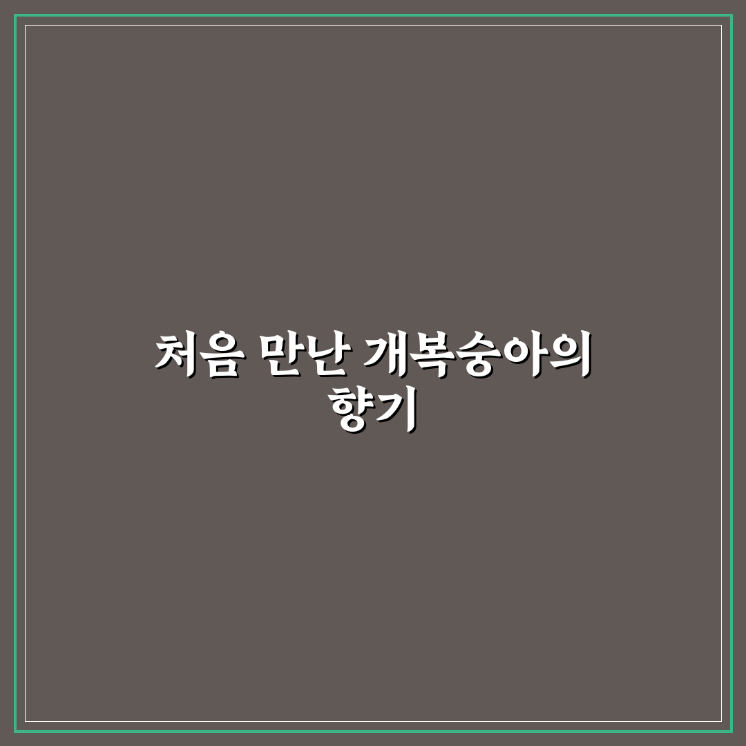 개복숭아 액기스 보관법 후기, 직접 해보니 궁금했던 점들