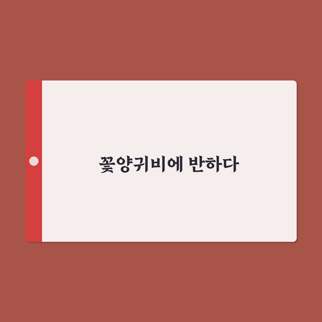 꽃양귀비 키우기 후기, 직접 재배해보니 알게 된 점