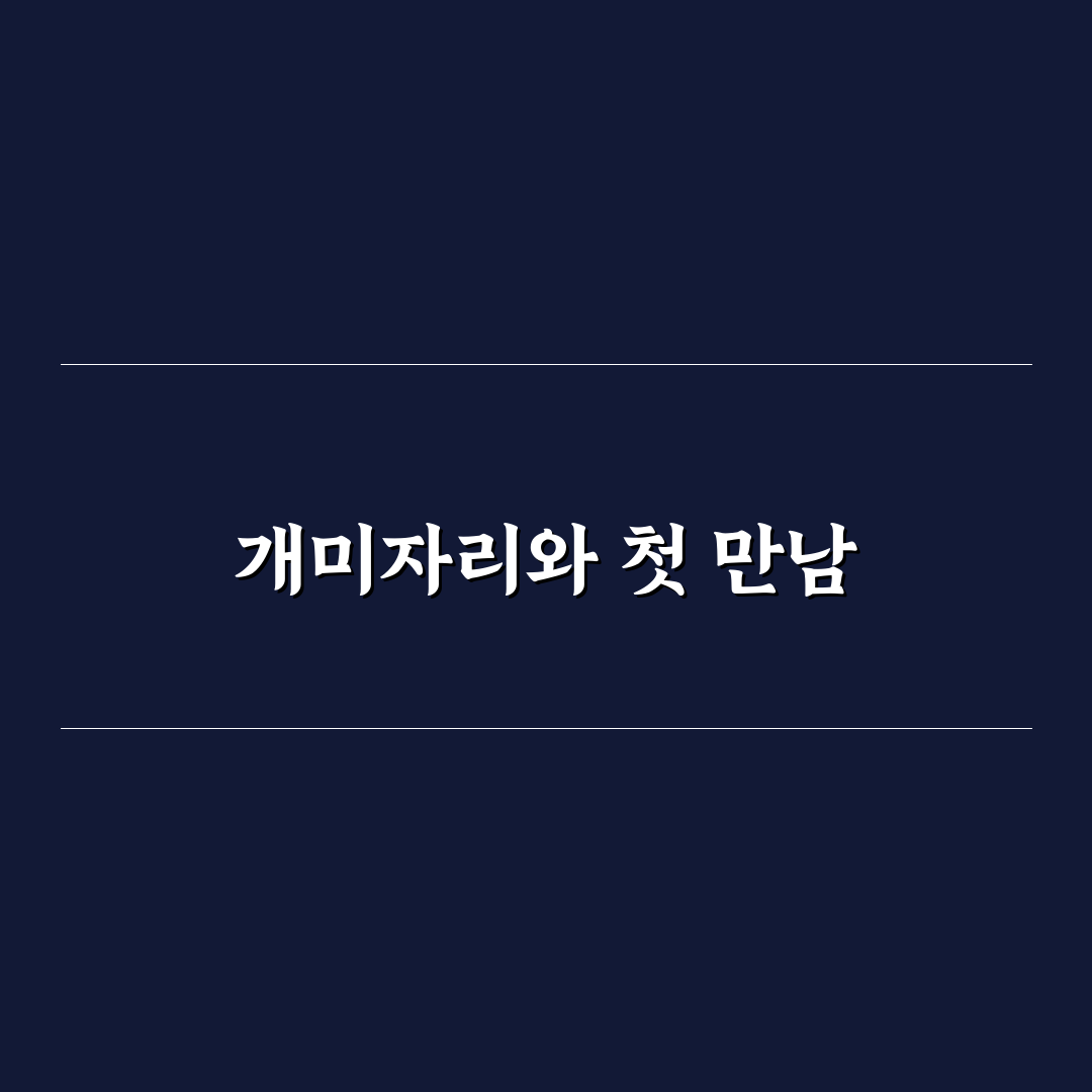 개미자리 직접 알아보니 특징과 궁금증 해결되었어요