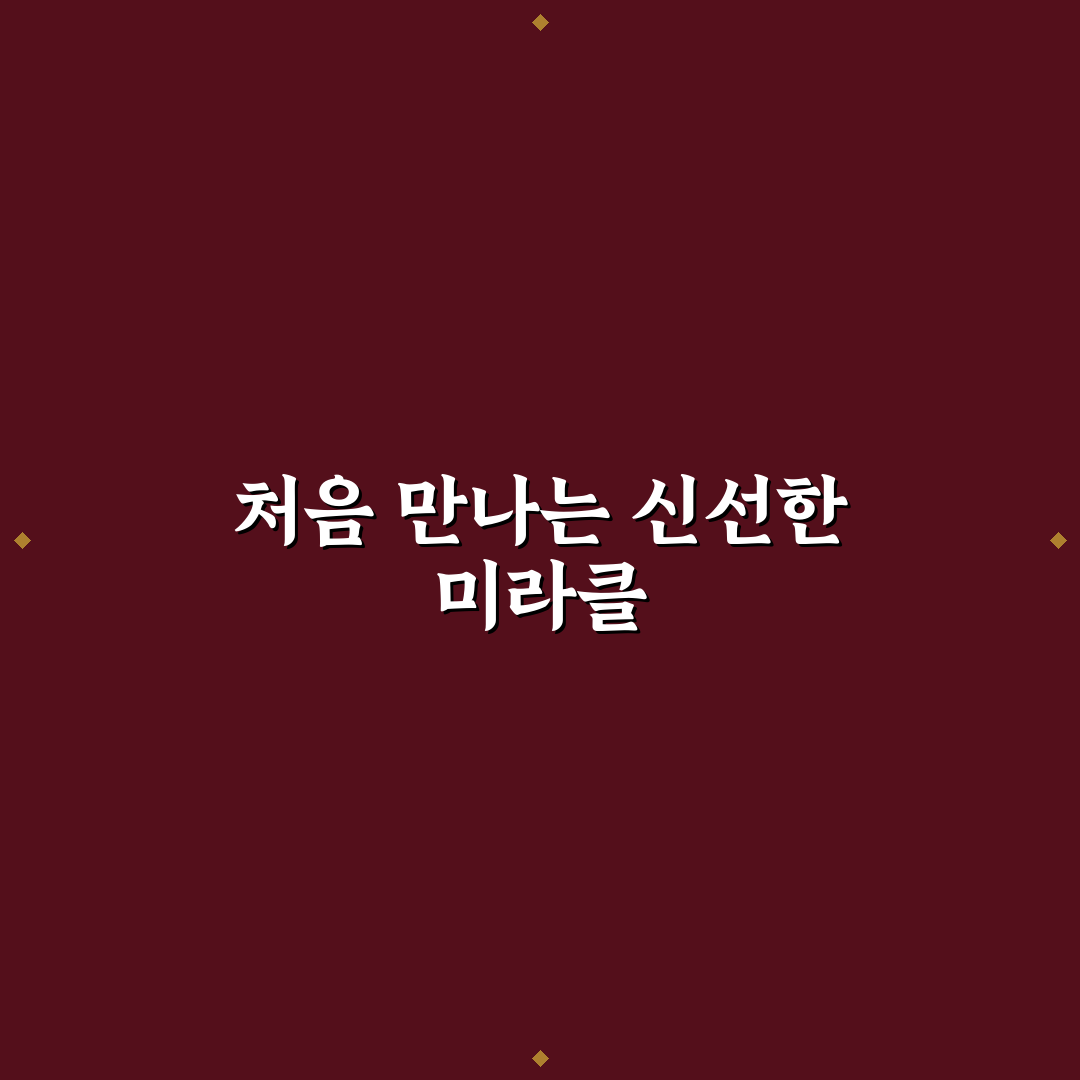말채나무 미라클 사용 후기, 효과와 아쉬움 같이 느껴보니
