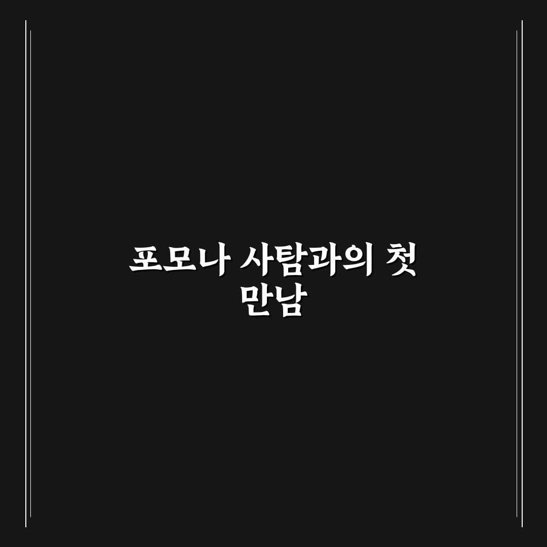 포모나 사탐 수강 후기, 직접 해보니 어땠는지