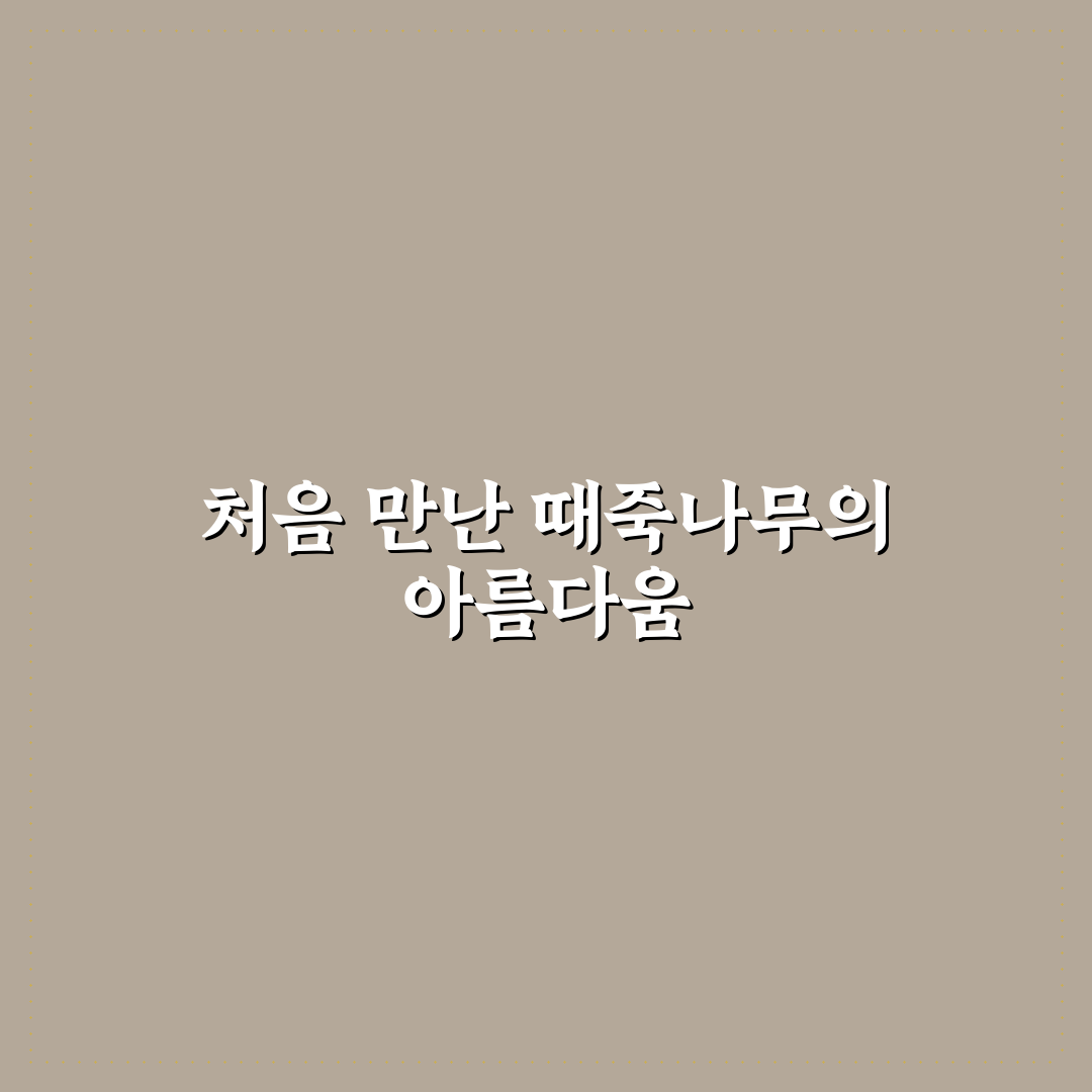 때죽나무 포토 방문 후기, 직접 가보니 느낀 점
