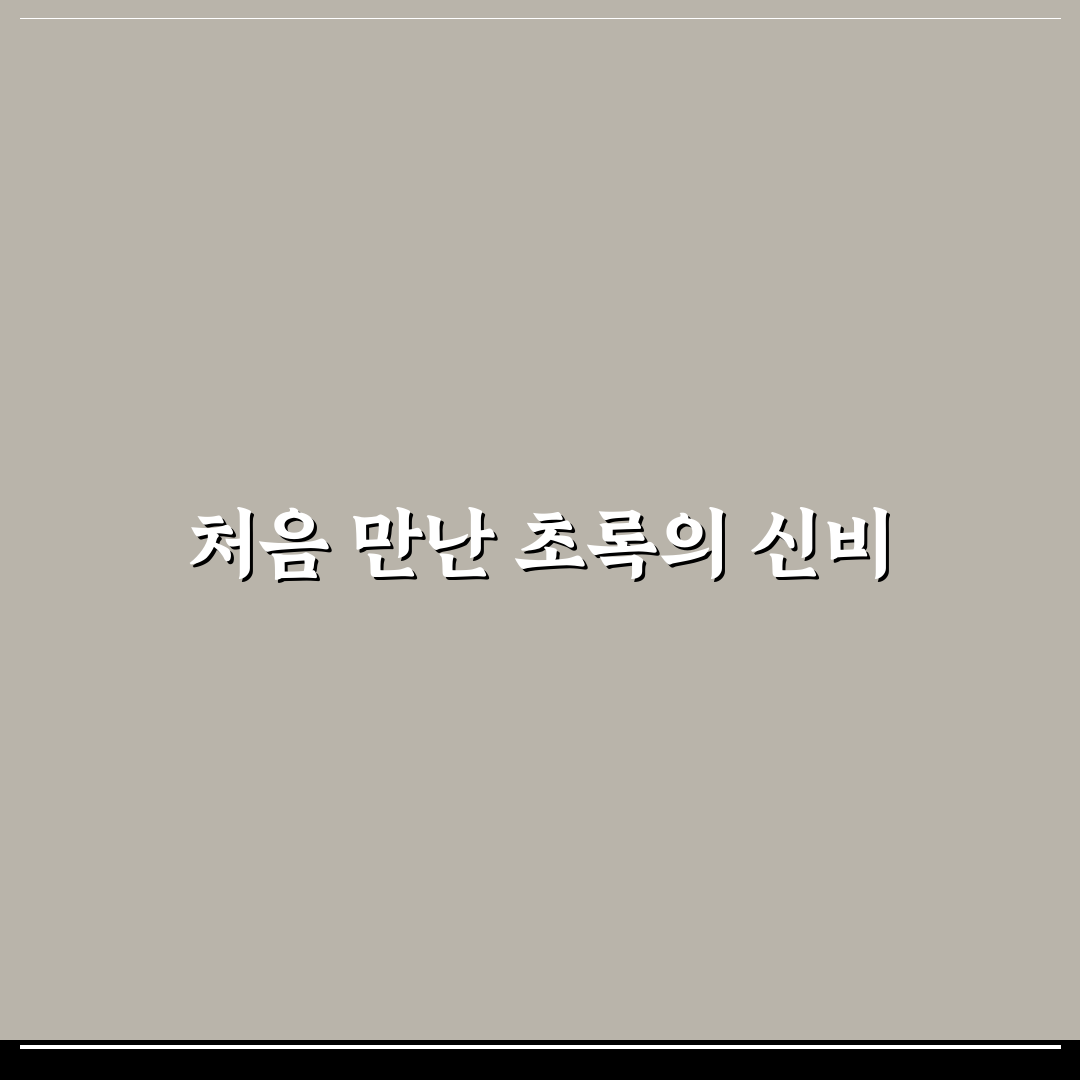 말차빽스치노 사용기, 직접 마셔보니 맛과 향은?